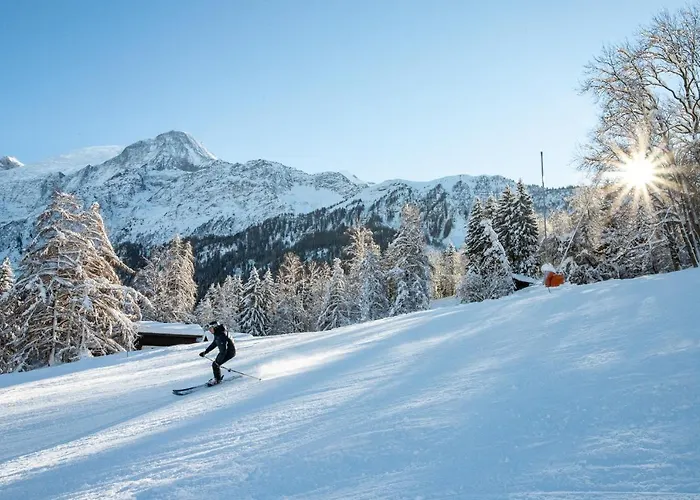 Apartment Refuge De Bellachat - Alpes Travel - Les Houches - Sleeps 4